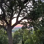 Al Teatro Di Tavignano *