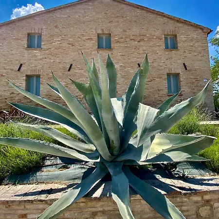 Al Teatro Di Tavignano Cingoli