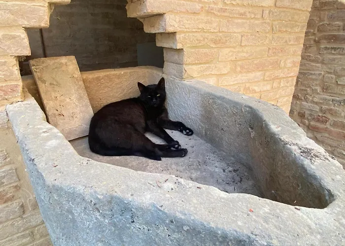 Al Teatro Di Tavignano Hébergement de vacances Cingoli
